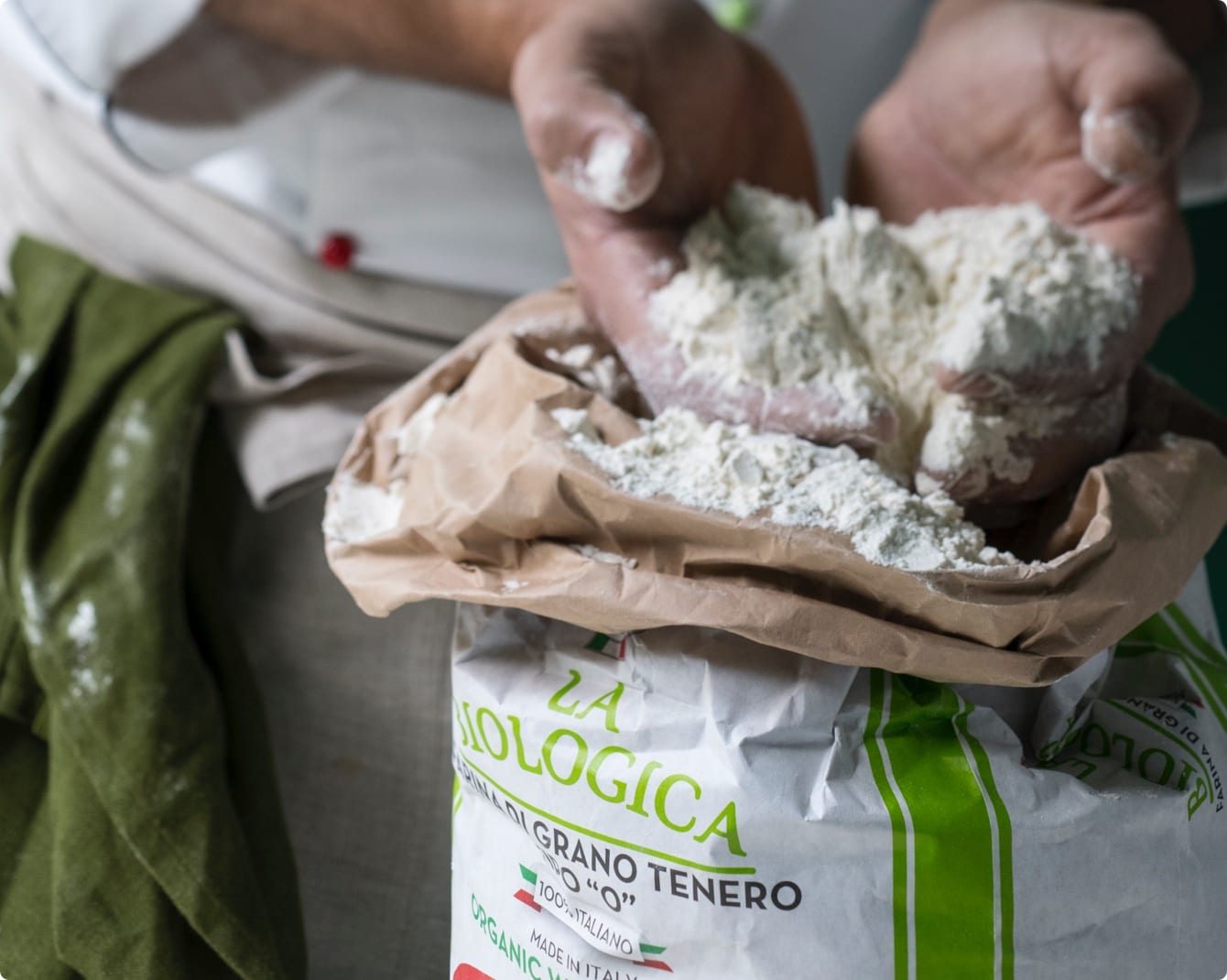 Le 5 Stagioni flours professional flours for bread and pizza