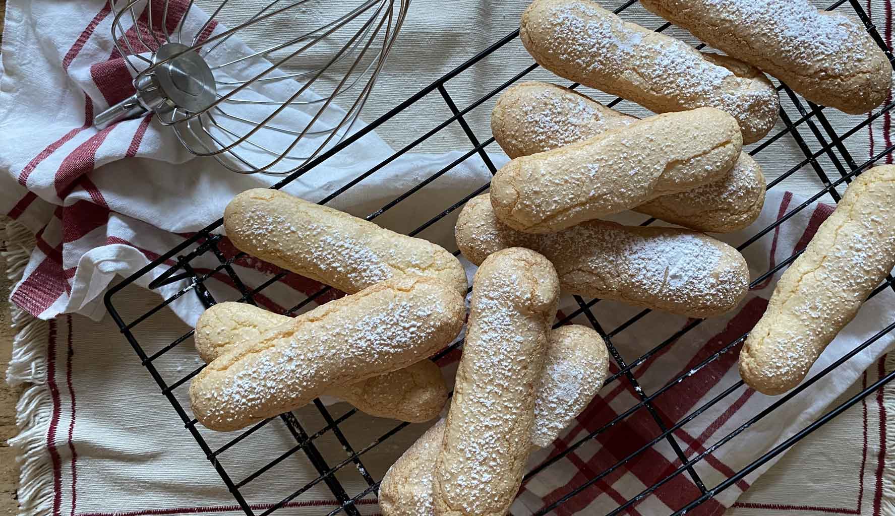 Pistoccus de caffei